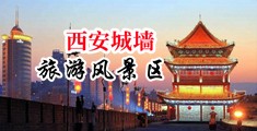 大黑逼与鸡巴中国陕西-西安城墙旅游风景区